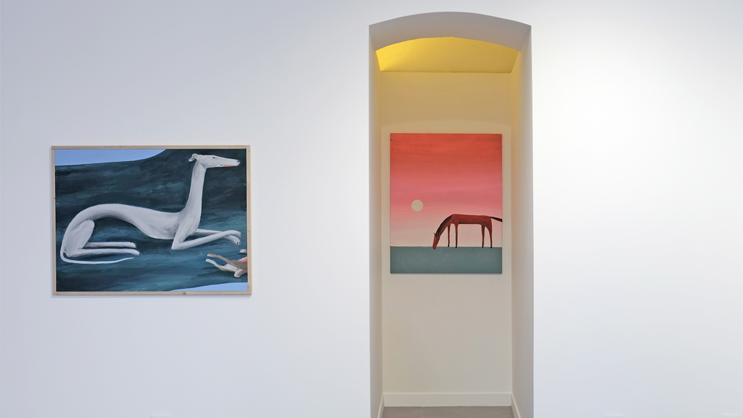 espacio451 tweet media