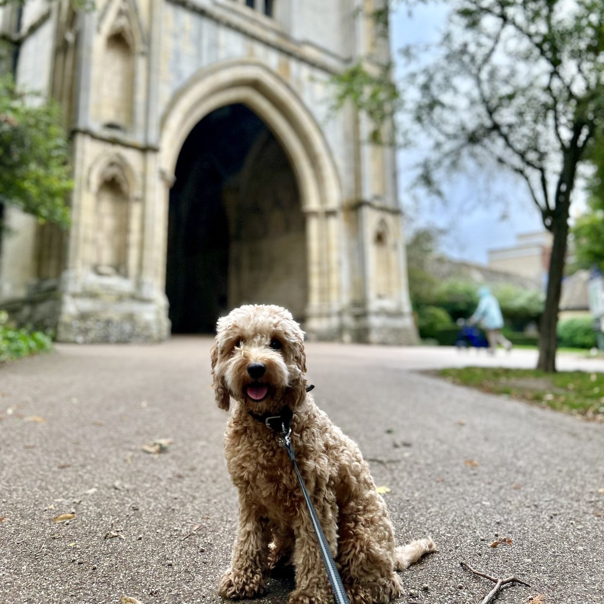 Our Bury St Edmunds tweet media