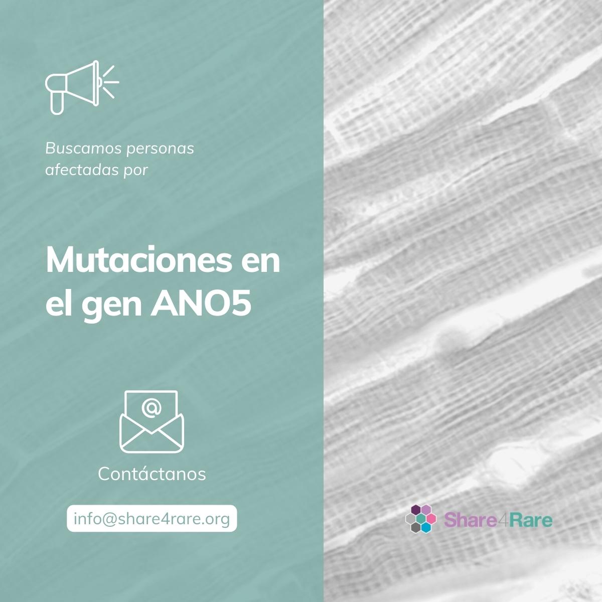 Share4Rare's tweet photo. 🚨 ¡Atención! Buscamos personas con mutaciones en el 🧬 #GenANO5 para conectarlas en #Share4Rare. 

Creemos una comunidad de apoyo en la que compartir experiencias y conocimientos y promover la investigación en #enfermedadesraras ➡️ https://t.co/24QLIm9j1n 
#ANO5 #Miopatía https://t.co/xCbw4wEDja