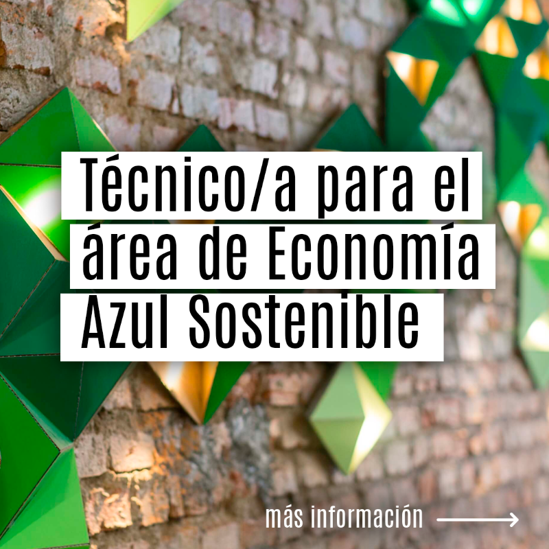 FBiodiversidad's tweet photo. Publicamos 3⃣ ofertas de #empleo temporales:

✅ Técnico/a para el área de Economía Azul Sostenible
✅ Oficial de 1ª del área de Economía Azul Sostenible
✅ Técnico/a de 1ª de comunicación para el área de Conservación y Restauración de Ecosistemas

🗓️ Hasta el 27 de octubre

ℹ️👇
