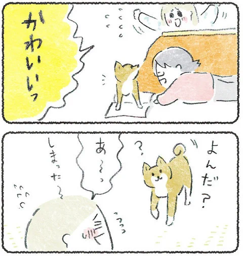 かわいい時は黙っとかないと見れなくなるね😂
実家の雰囲気→
https://t.co/MiQVPzNQp5 