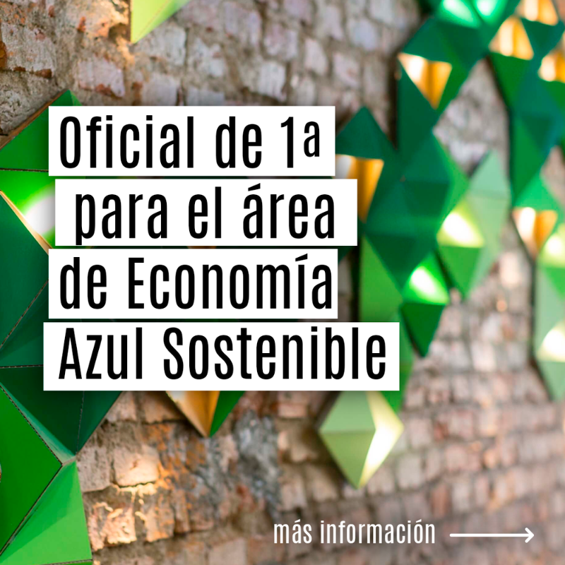 FBiodiversidad's tweet photo. Publicamos 3⃣ ofertas de #empleo temporales:

✅ Técnico/a para el área de Economía Azul Sostenible
✅ Oficial de 1ª del área de Economía Azul Sostenible
✅ Técnico/a de 1ª de comunicación para el área de Conservación y Restauración de Ecosistemas

🗓️ Hasta el 27 de octubre

ℹ️👇
