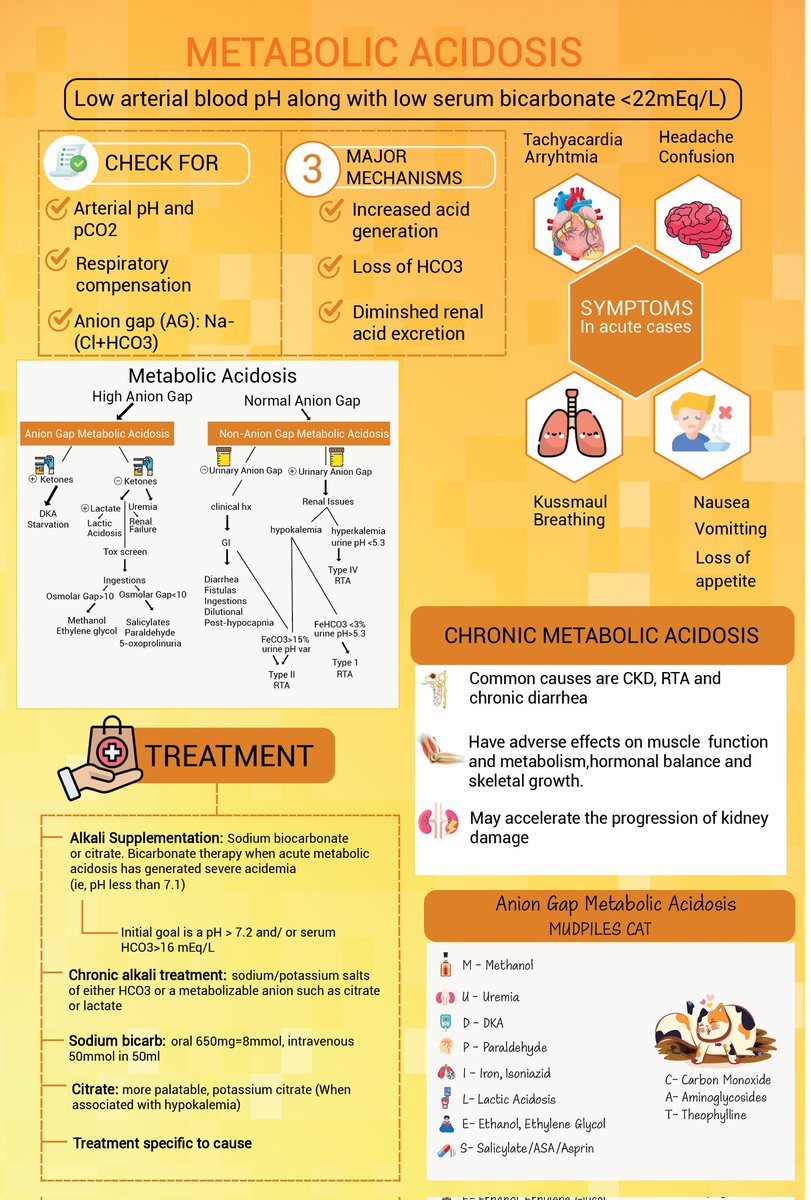 📊  One-pager alert ⚠️ on #MetabolicAcidosis! 🩸

💡 Learn the key facts and causes in a glance. Check it out for a quick grasp of this important topic in medicine! 💊🔍 #Medywitter #Nephtwitter
#MedEd