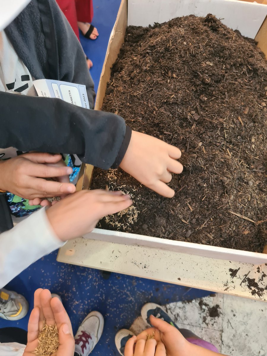 Jeff Brez tweet media