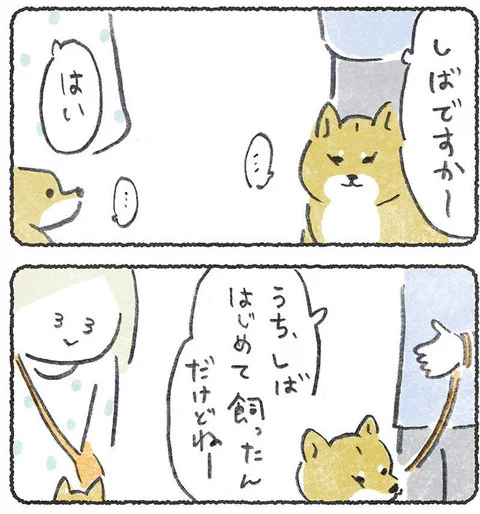 柴犬をはじめて飼った人
https://t.co/0Fg9PeTmHh 