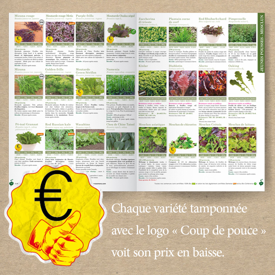 AGROSEMENS tweet media