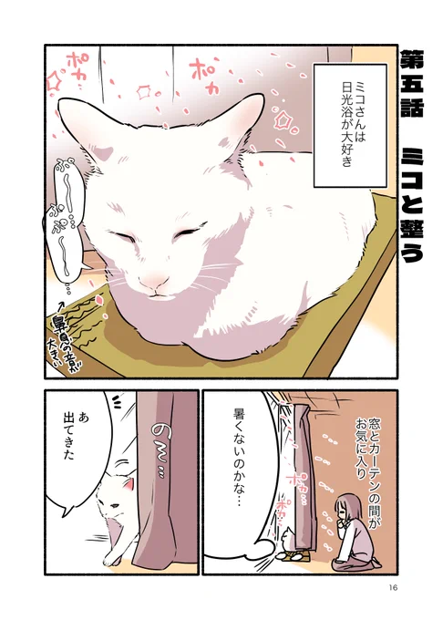 元野良猫が"整っちゃう"話(1/2) #漫画が読めるハッシュタグ