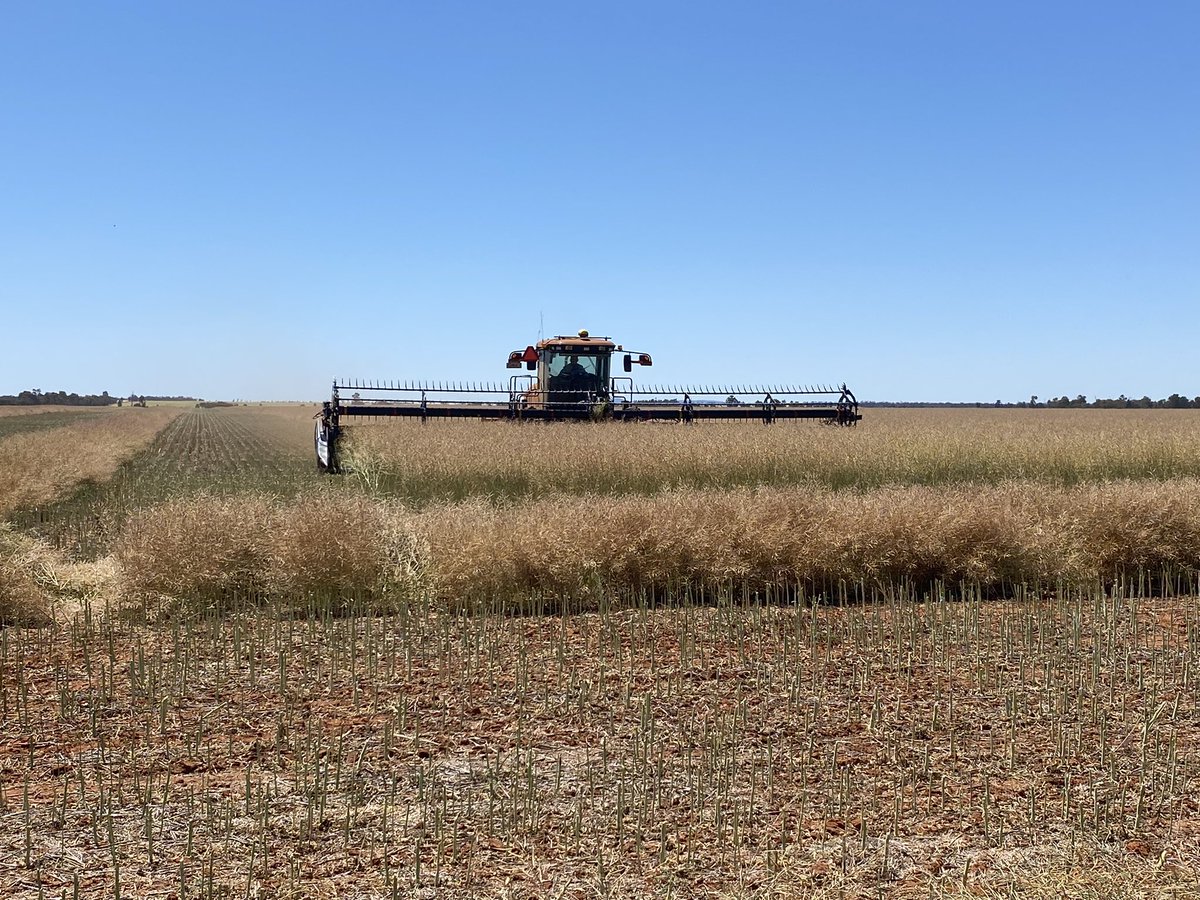 Dan Heagney tweet media