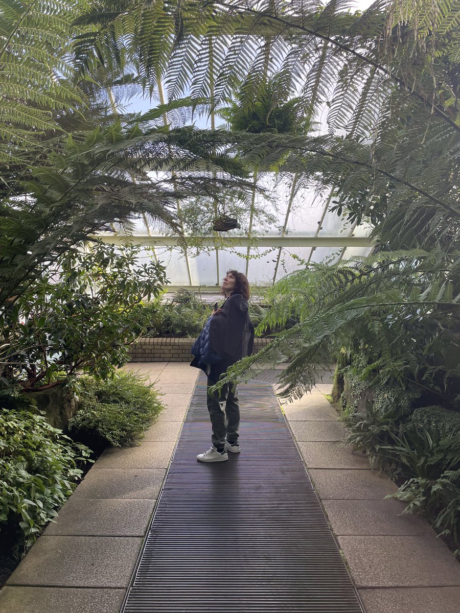 cfe_mycolab's tweet image. The cure for post-#SOTWPF Symposium blues? A morning visit to the gardens! Here're some photos taken last Sunday @kewgardens
