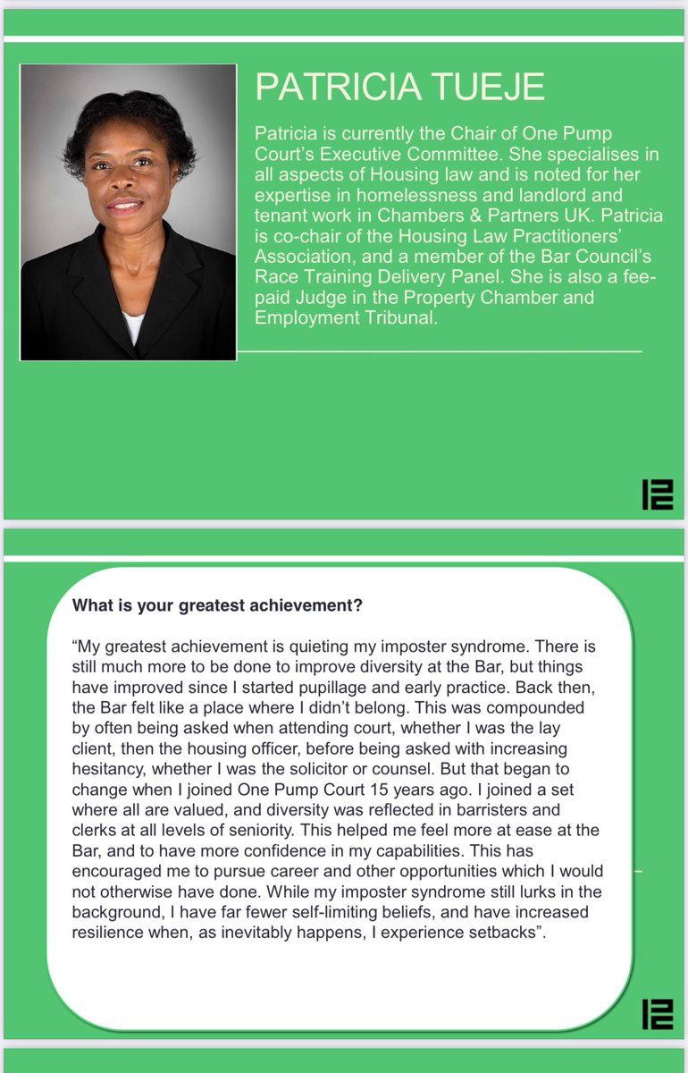 OnePumpCourt's tweet photo. Next we salute Patricia Tueje, our current chair of the One Pump Court Executive Committee, as well as Co-chair of @HLPA_UK https://t.co/NjkEg9XQ3u