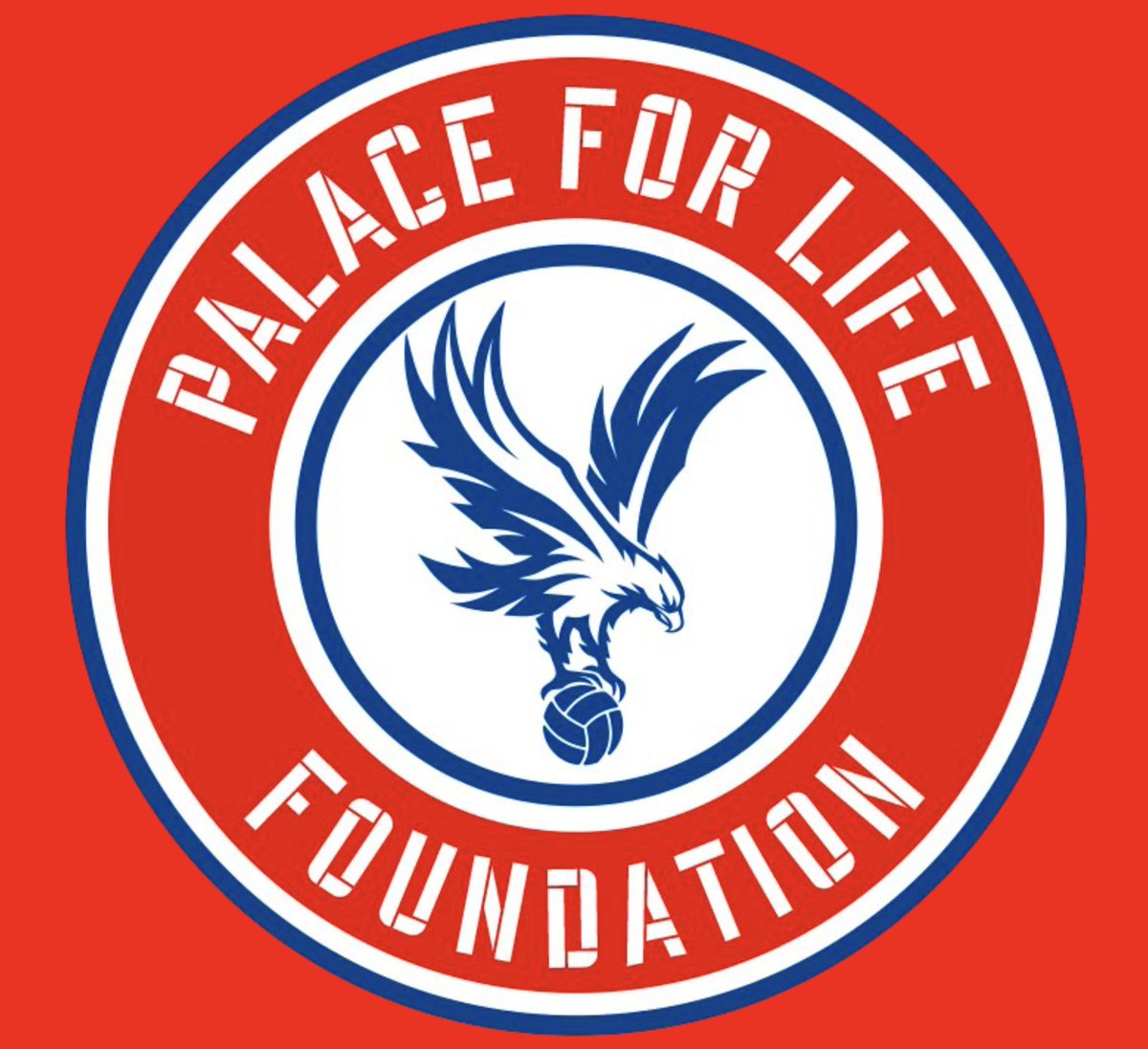 REMF is proud to donate £8,000 to <a href="/PalaceForLife/">Palace for Life</a> for football kit/equipment to its outreach Premier League Kicks programme.

Support for REMF from <a href="/CPFC/">Crystal Palace F.C.</a> fans has been immense since 2001, so donating to the club's community arm is our way of saying 'thanks' for all your efforts.