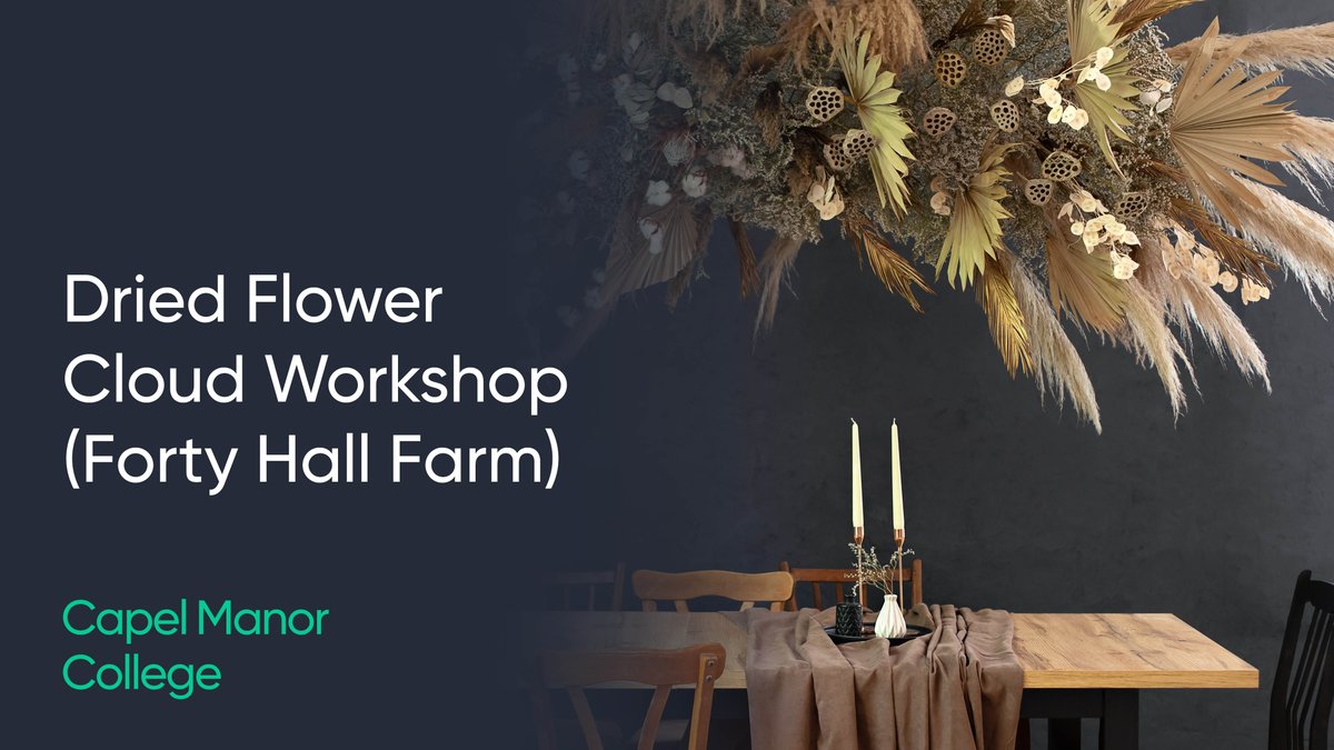 Capel Manor College tweet media