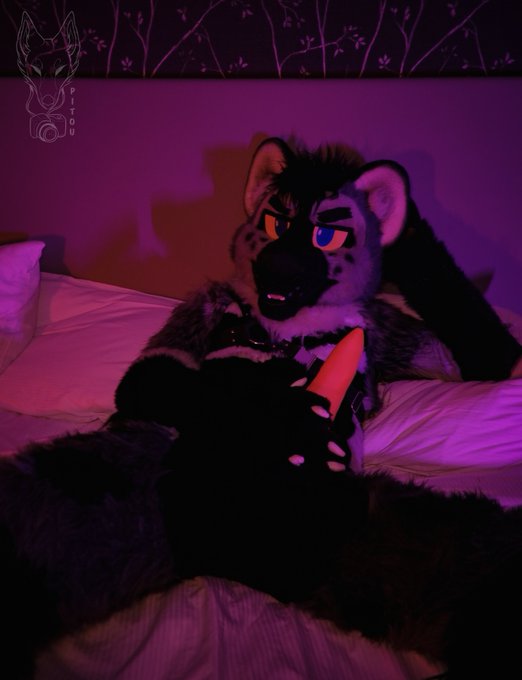 📷 Set 64 Vrek 💜 Hot Yeen don't ya think ? 😌 FBL pictures 🔞  With @YeenNGoat   More content  https://t