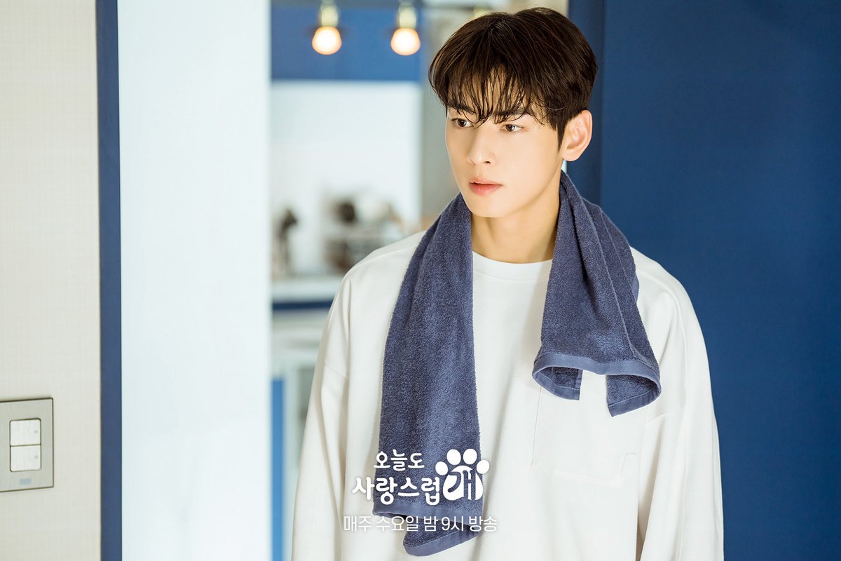 agoodaytobeadog's tweet photo. <A Good Day To Be A Dog> episode 3 still cuts with Cha Eunwoo, Park Gyuyoung and Yoon Hyunsoo 🐾

#AGoodDayToBeADog #오늘도사랑스럽개
#ChaEunwoo #ParkGyuyoung #YoonHyunsoo
#차은우 #박규영 #윤현수 #오사개 https://t.co/it1PNVFWkX