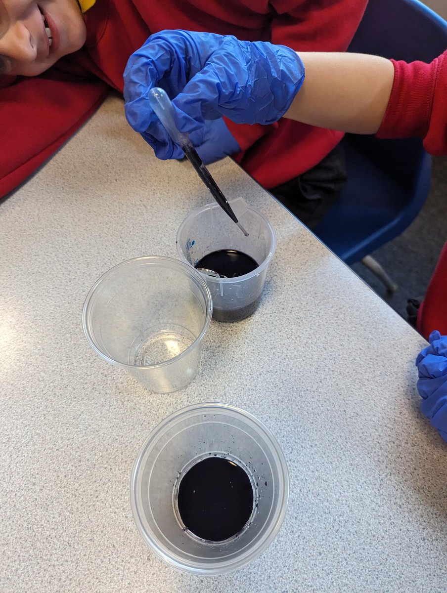 Mrs Gorczyca (@mrsg_stgeorges) on Twitter photo The Year 3 children in Nightingale class have had a very fun science lesson testing how much vitamin C is in different orange juice. Thank you so much <a href="/HydeHighSchool/">Hyde High School</a> <a href="/MrPatel_HHS/">Mr U Patel</a> and Mr Crewe for all your help with the lesson. The Year 3 children in Nightingale class have had a very fun science lesson testing how much vitamin C is in different orange juice. Thank you so much <a href="/HydeHighSchool/">Hyde High School</a> <a href="/MrPatel_HHS/">Mr U Patel</a> and Mr Crewe for all your help with the lesson.