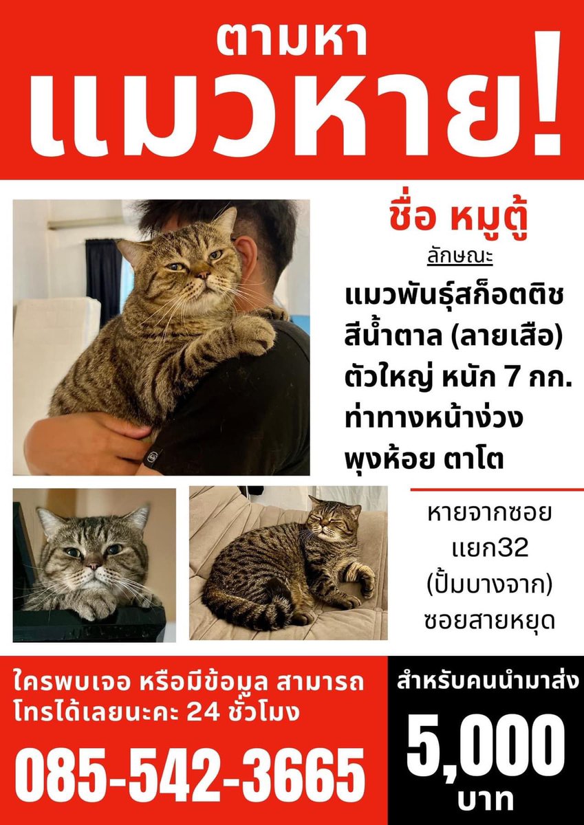 ช่วยรีหน่อยยะคะ ยังตามหาไม่เจอค่ะ #ทวิตดีคนรีน้อย