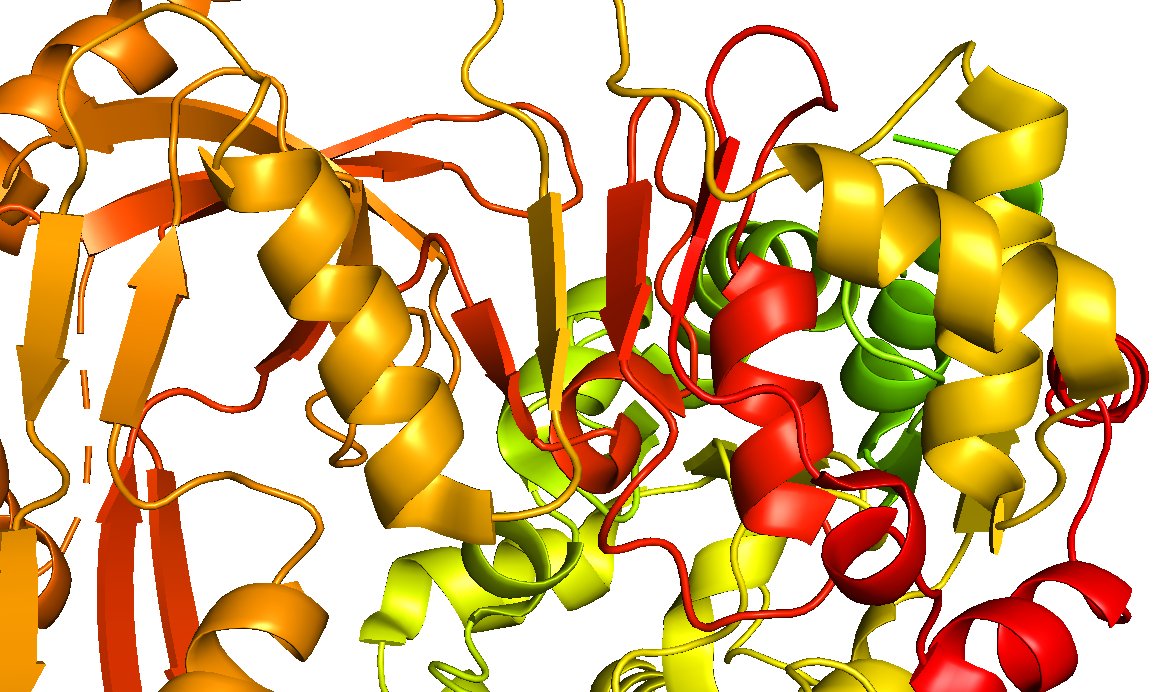 BIOLOGY/BMS External Seminar - Dr Tom Deegan @TDDeego @EdinburghUni Molecular mechanisms of accessory DNA helicases in the eukaryotic replisome. Wednesday Oct. 25th, 1-2 pm, BMS Seminar Room RM001. Hosted by @macneill_lab 📸 PDB: 5O6D