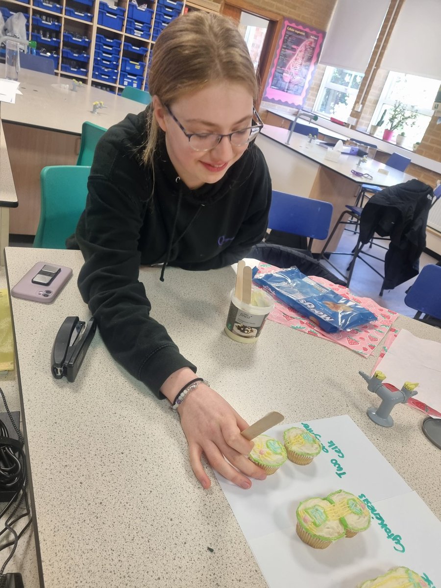 QueenswoodSTEM's tweet photo. Year 12 biologists  @QueenswoodSch were not "phased" making mitosis cupcakes today. #creativecells #biologyweek #alevelbiology https://t.co/JzbxfsRQ9q