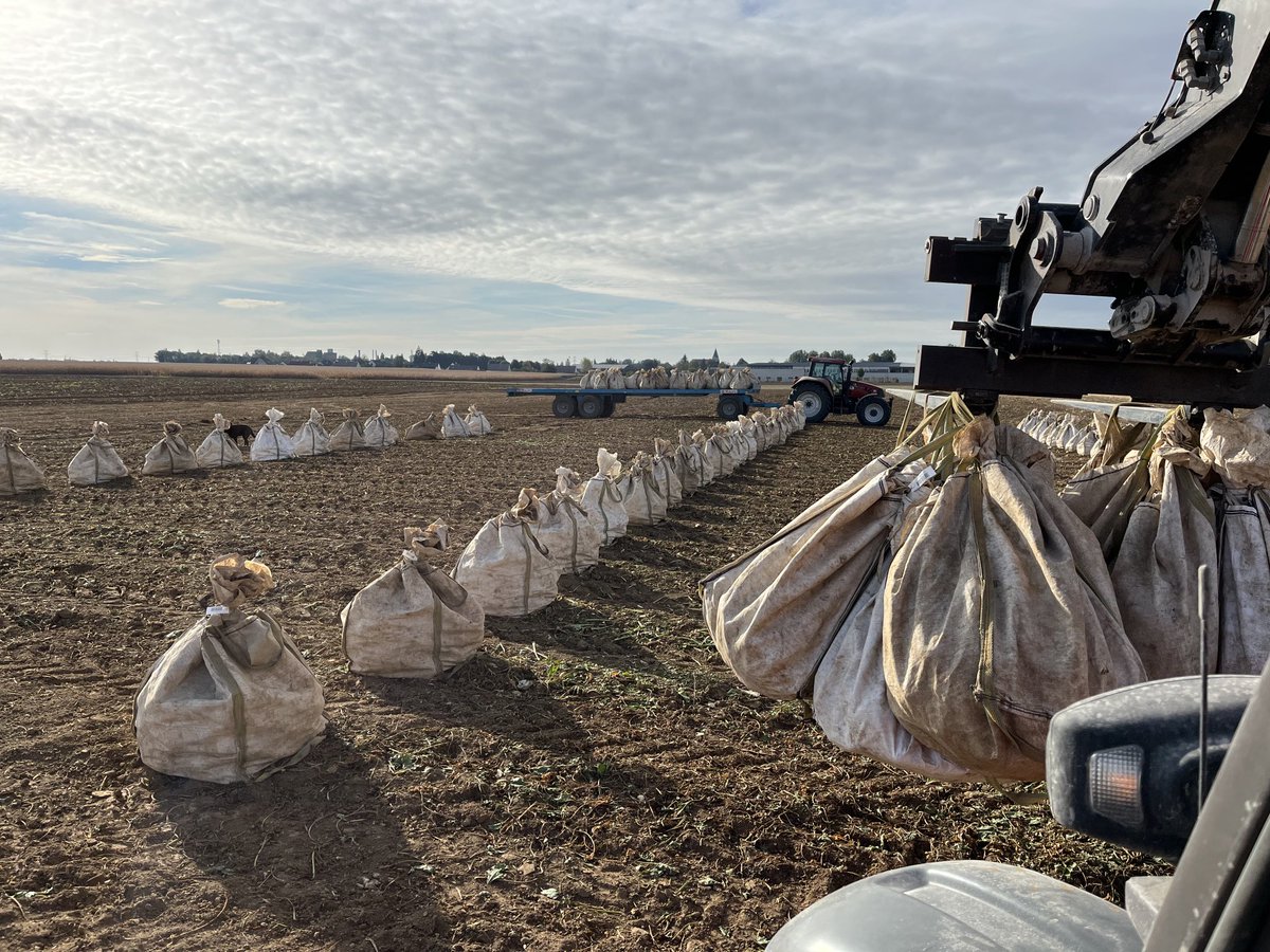 Les essais #itb sont sortis du champ avant la 🌦️🌧️<a href="/Phoudmon/">Pierre-yves houdmon</a>