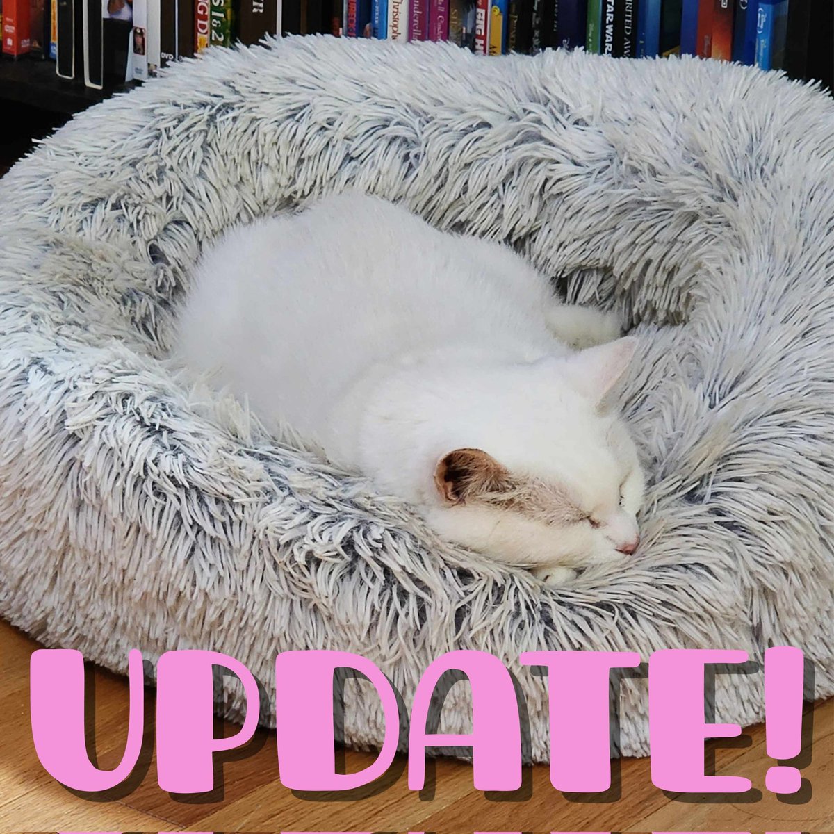 PunkyTunaComic's tweet photo. Small update! We'll be taking a small break from posting comics. We have PLENTY of ideas for comics, but life gets busy close to the holidays. https://t.co/DkQY2gGZG7