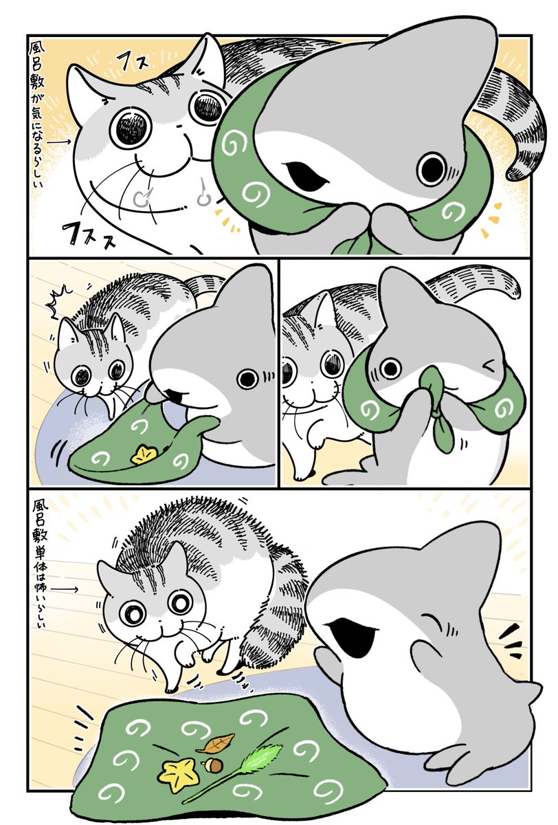 おでかけ子ザメ×夜は猫といっしょコラボ漫画 子ザメちゃんといっしょ🦈🐈