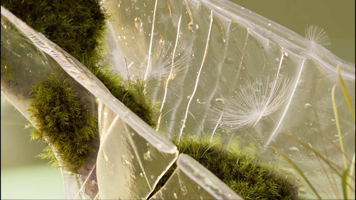 Green scenes 💚🌿

#3d #redshift #cinema4d #houdini