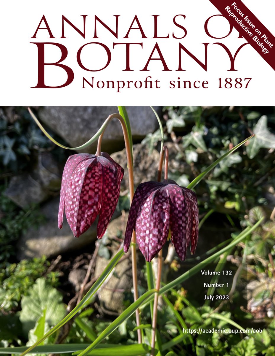 🌿🎨 We are very happy to share with you <a href="/annbot/">Annals of Botany</a> new cover design! Let’s dive into the latest released Focus Issue on Plant Reproductive Biology in this thread 🧵(1/12)