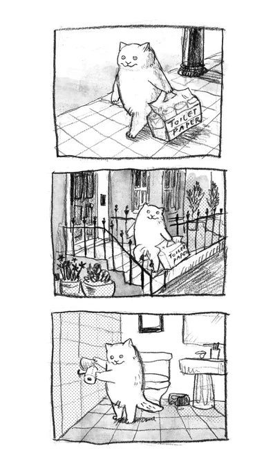 Toilet paper🧻 