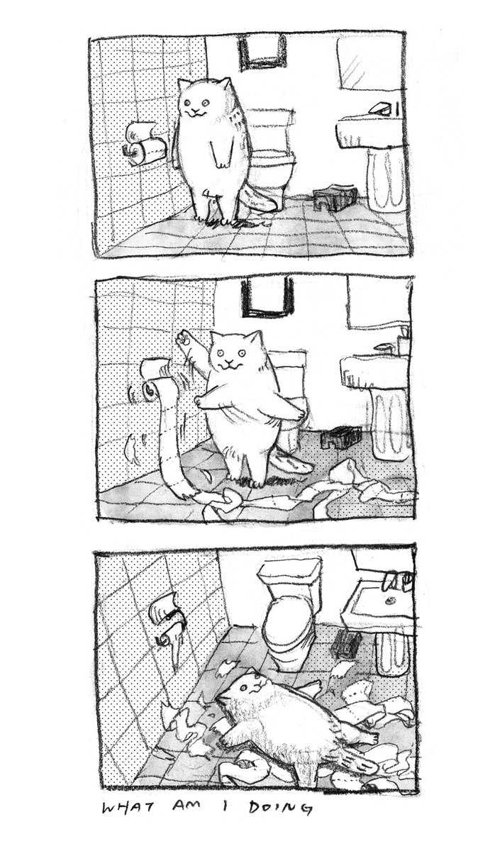 dawning_crow's tweet photo. Toilet paper🧻 https://t.co/rOc9Ozsrne