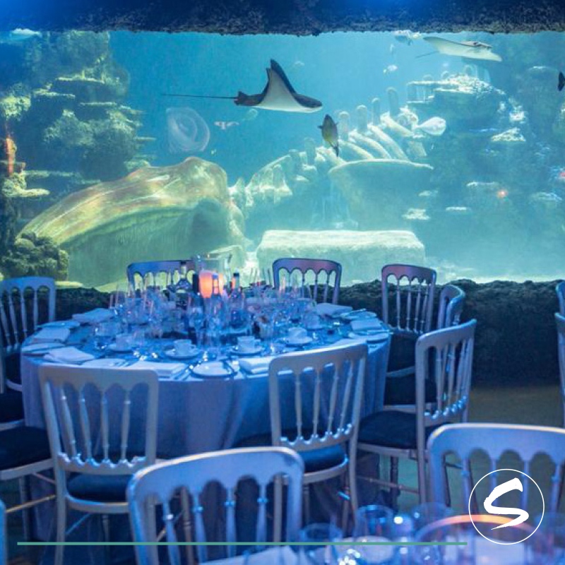 Dive into unforgettable events at Sealife Brighton! Whether it’s a corporate gathering or a special celebration, our venue is a unique and mesmerising backdrop for your next event. Get ready to make a splash with stunning marine views and a one-of-a-kind atmosphere.