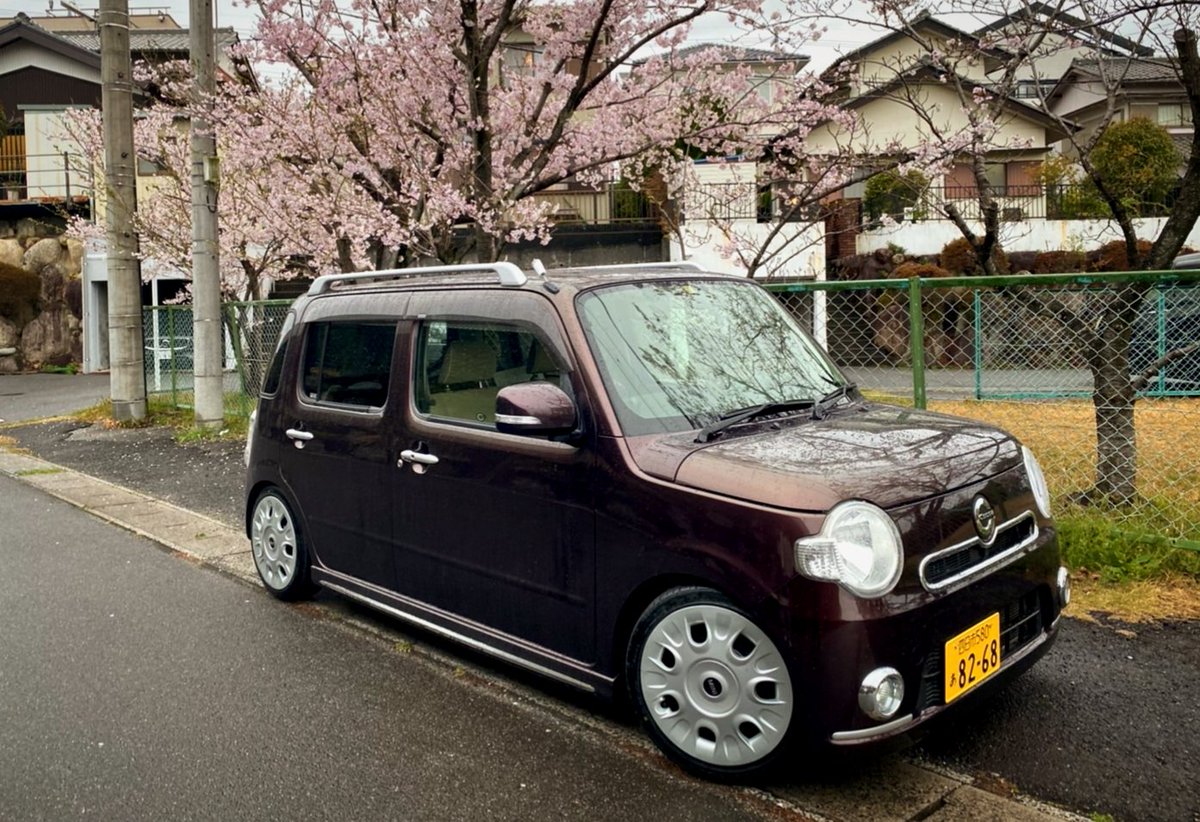 Cocoari@おこうた tweet media