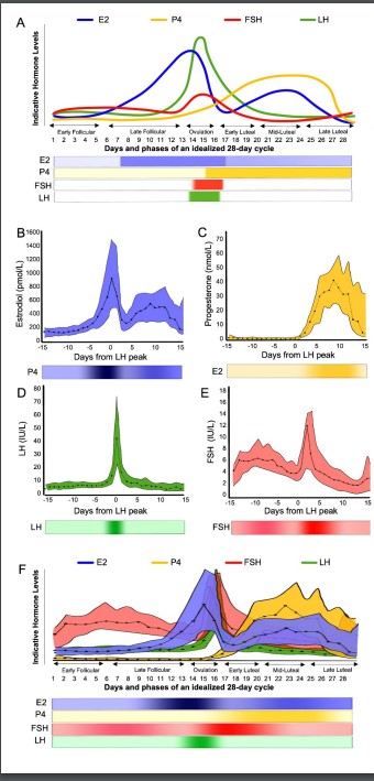 japplphysiol's tweet photo. #ArticlesInPress “Menstrual cycle hormones and oral contraceptives: A multi-method systems physiology-based review of their impact on key aspects of female physiology”

Alysha C. D'Souza et al. 
➡️https://t.co/mq6EJcHoE3
#JAPPL @Mackinprof @JennySwilliams #Exercise #Human https://t.co/T2rnXYNaxQ