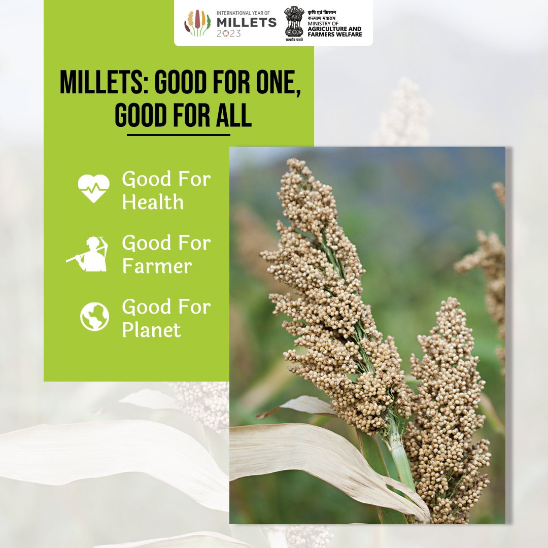 From empowering health to nurturing farmers and sustaining our planet. Millets are beneficial for all. 

#IYM2023 #ShreeAnna #YearOfMillets #WorldFoodDay2023 #FAO
