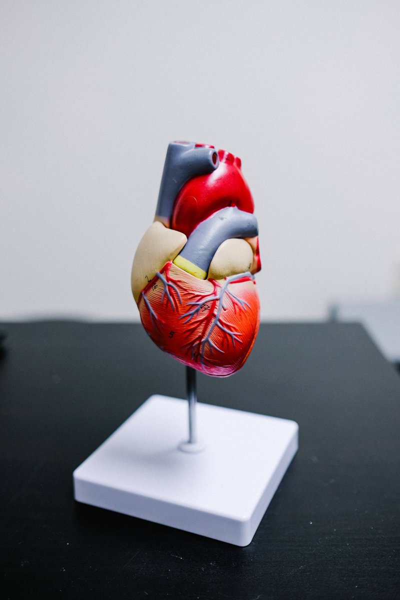 LongmoreClinic's tweet photo. Don't wait to prioritize your heart health. Our Heart Health Quiz is here to guide you on the path to a happier heart. Discover your risk factors & gain valuable insights today. Take the quiz:
#TeleHEART #hearthealth
https://t.co/C6CkXEpnz9 https://t.co/o61Ebtwckn