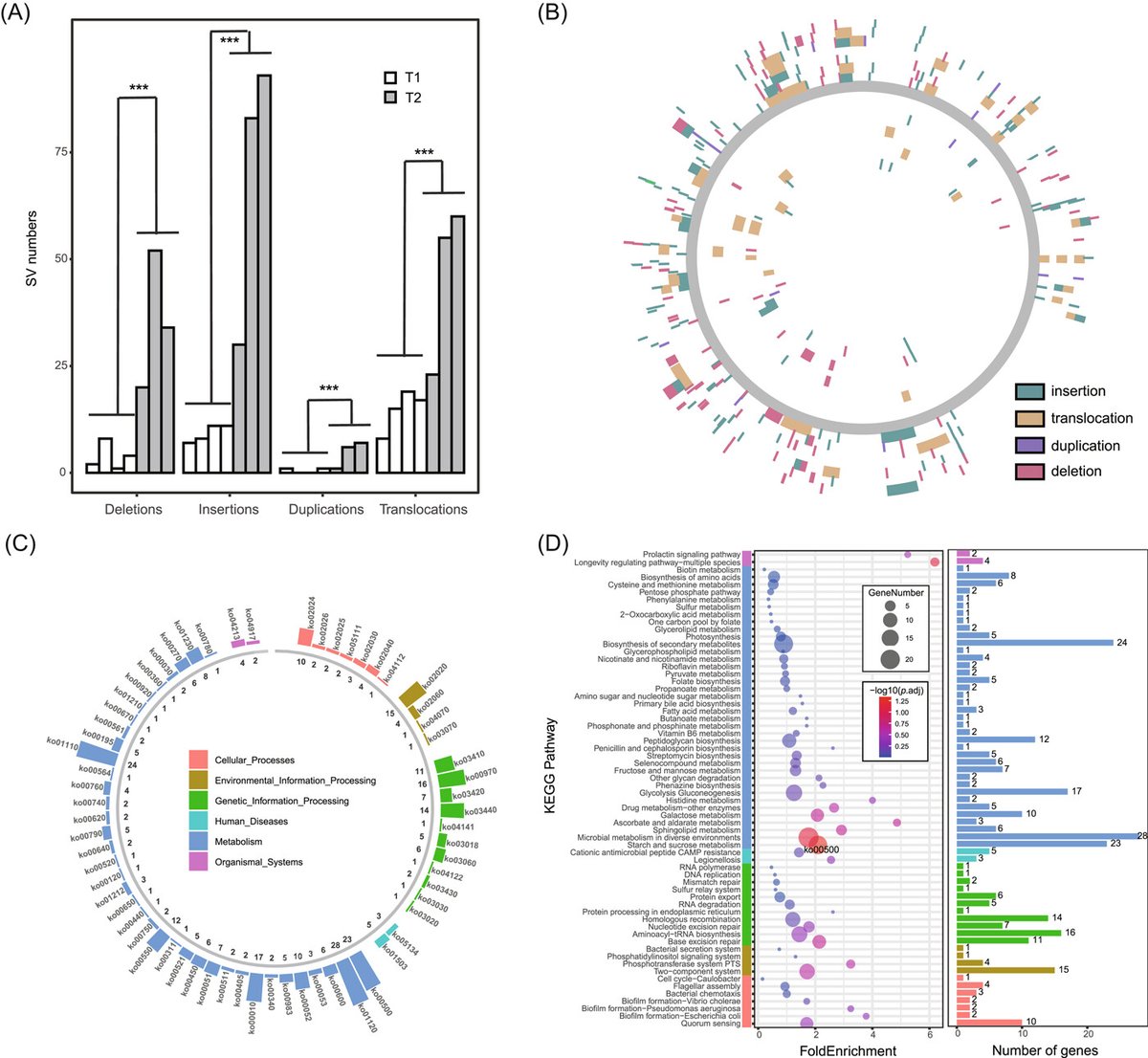 iMetaScience's tweet photo. MetaSVs: A pipeline combining long and short reads for analysis and visualization of structural variants in metagenomes
https://t.co/w7bSjLJv9M
#Bioinformatics #microbiome #metagenomics #pipeline #visualization #nanopore 
@wileymicrobio  @wileyinresearch https://t.co/YJubNcJRiS