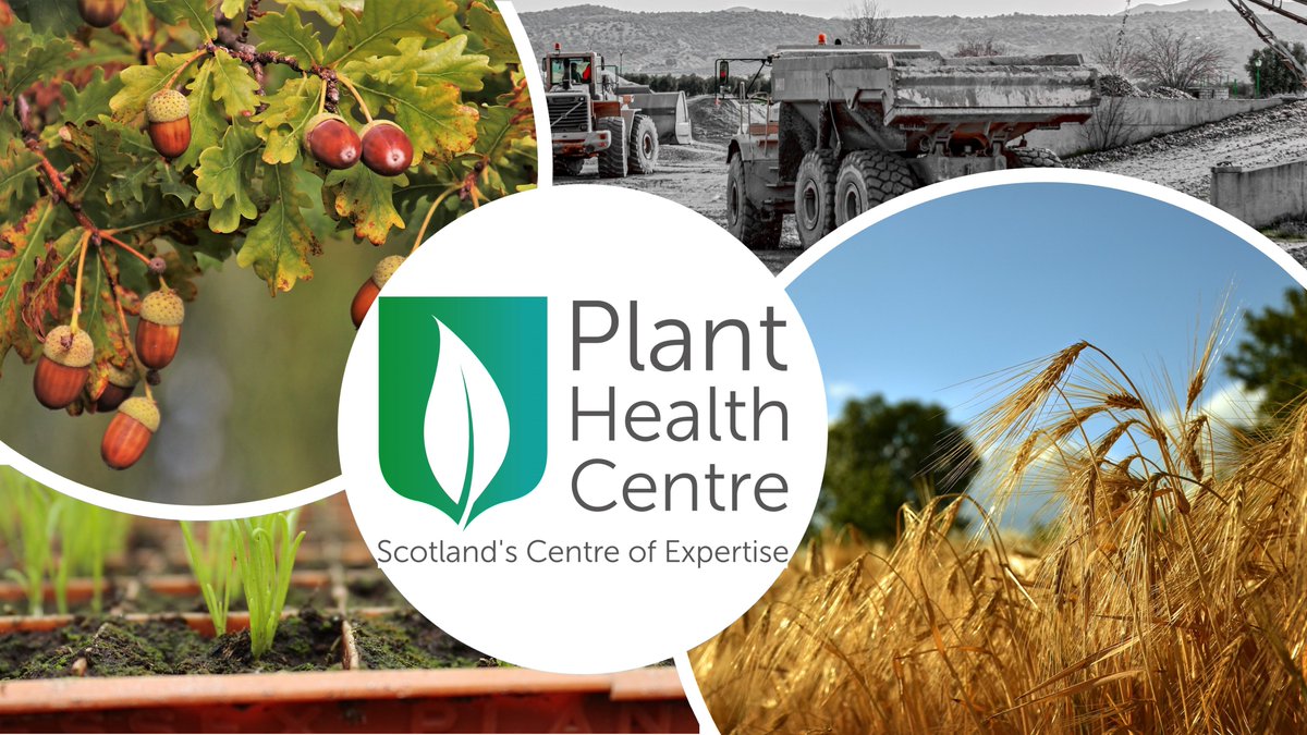 📢Funding Calls! Please RT. We are advertising 4 exciting projects on Scotland's #planthealth 🌿🌳🌺 1. Peat-free compost constituents, 2. Ag policy reforms, 3. Bulk aggregate movement, and 4. Tree seed and seedling supply capacity. Deadline 27th November bit.ly/46PBHKY