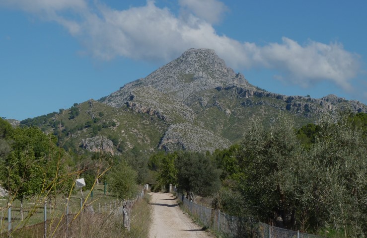 AutosVima's tweet photo. The hiking route from Estellencs to Puig de Galatzó offers stunning mountain views. The summit, Puig de Galatzó, provides breathtaking coastal and mountain views.
https://t.co/smb2xdWUTc

#estellencs #mallorca #hiking #vimarentacar #Views https://t.co/YLBcDj8ZBO