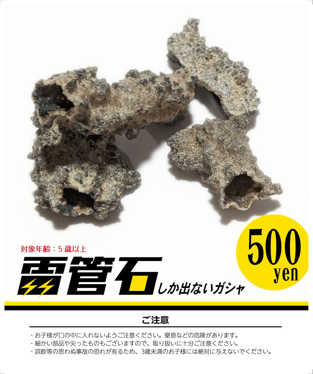 〇〇しか出ないガシャ第3弾は

【雷管石しか出ないガシャ】です
博物クリスマス限定ガシャとなります

・・・・・・・・・・・・・・・・・・・・・

雷管石 
Sand Fulgurite 

何も知らなければただの細長い石 
だが実は、雷によって生みだされた一風変わった石なのだ。