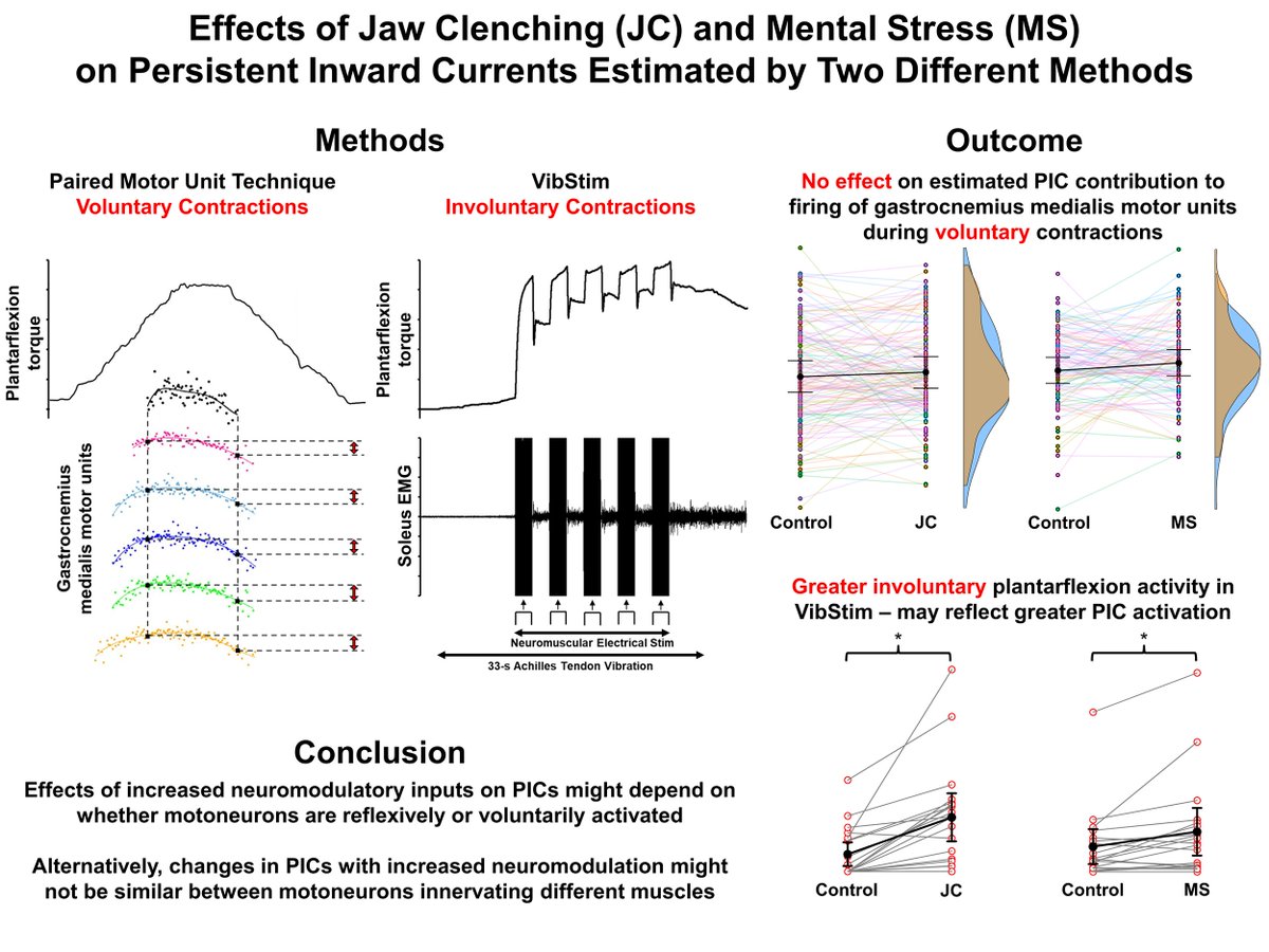 Ricardo Mesquita tweet media