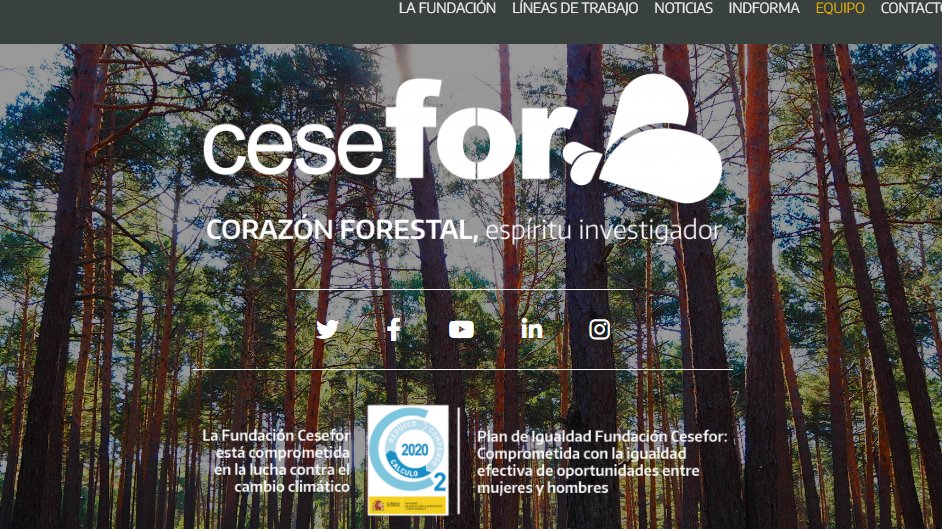 FAFCYLE (@fafcyle) on Twitter photo Queremos felicitar efusivamente a <a href="/FCesefor/">Fundación Cesefor</a>, de la que formamos parte como miembro de su patronato. La Fundación ha sido premiada por su trabajo realizado en el desarrollo del <a href="/GoResinlab/">GO-Resinlab</a> y ha obtenido la distinción de INNOVADORES EL MUNDO CyL 2023. <a href="/DiarioCyLMundo/">Diario de Castilla y León</a> Queremos felicitar efusivamente a <a href="/FCesefor/">Fundación Cesefor</a>, de la que formamos parte como miembro de su patronato. La Fundación ha sido premiada por su trabajo realizado en el desarrollo del <a href="/GoResinlab/">GO-Resinlab</a> y ha obtenido la distinción de INNOVADORES EL MUNDO CyL 2023. <a href="/DiarioCyLMundo/">Diario de Castilla y León</a>