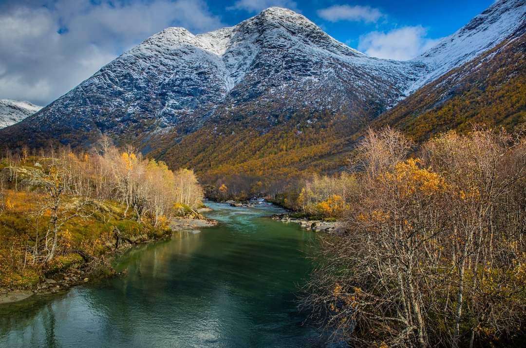 Autumn by the Sognefjord 😍 Photo via @VisitSognefjord #Norway #fjords #travel