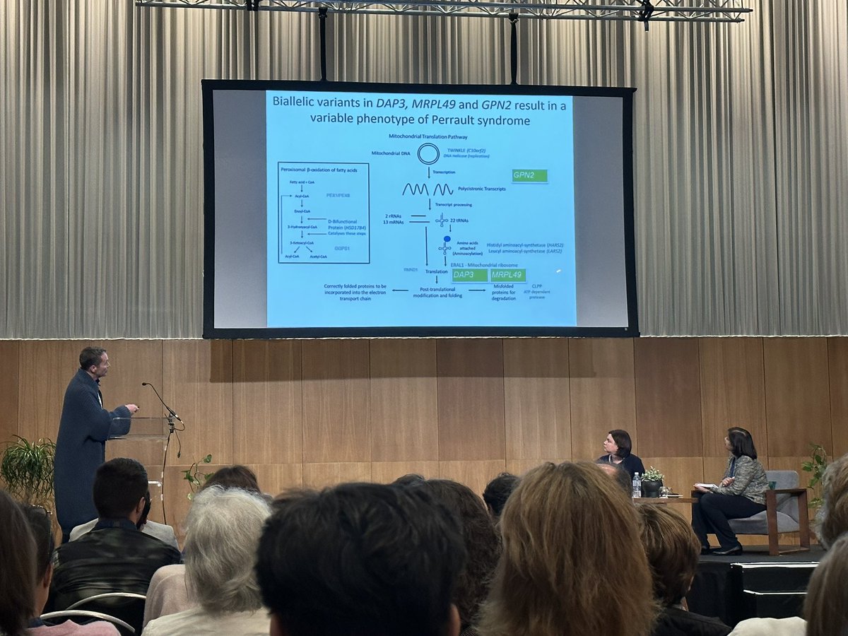 @GeneticBill of @mft_iMRare @EGS_UoM presents the clinical landscape of Perrault syndrome at #MDC23 and describes 3 further genes causing overlapping phenotypes: DAP3, MRPL49 and GPN2 due to mitochondrial protein translation distribution #MorbidGene