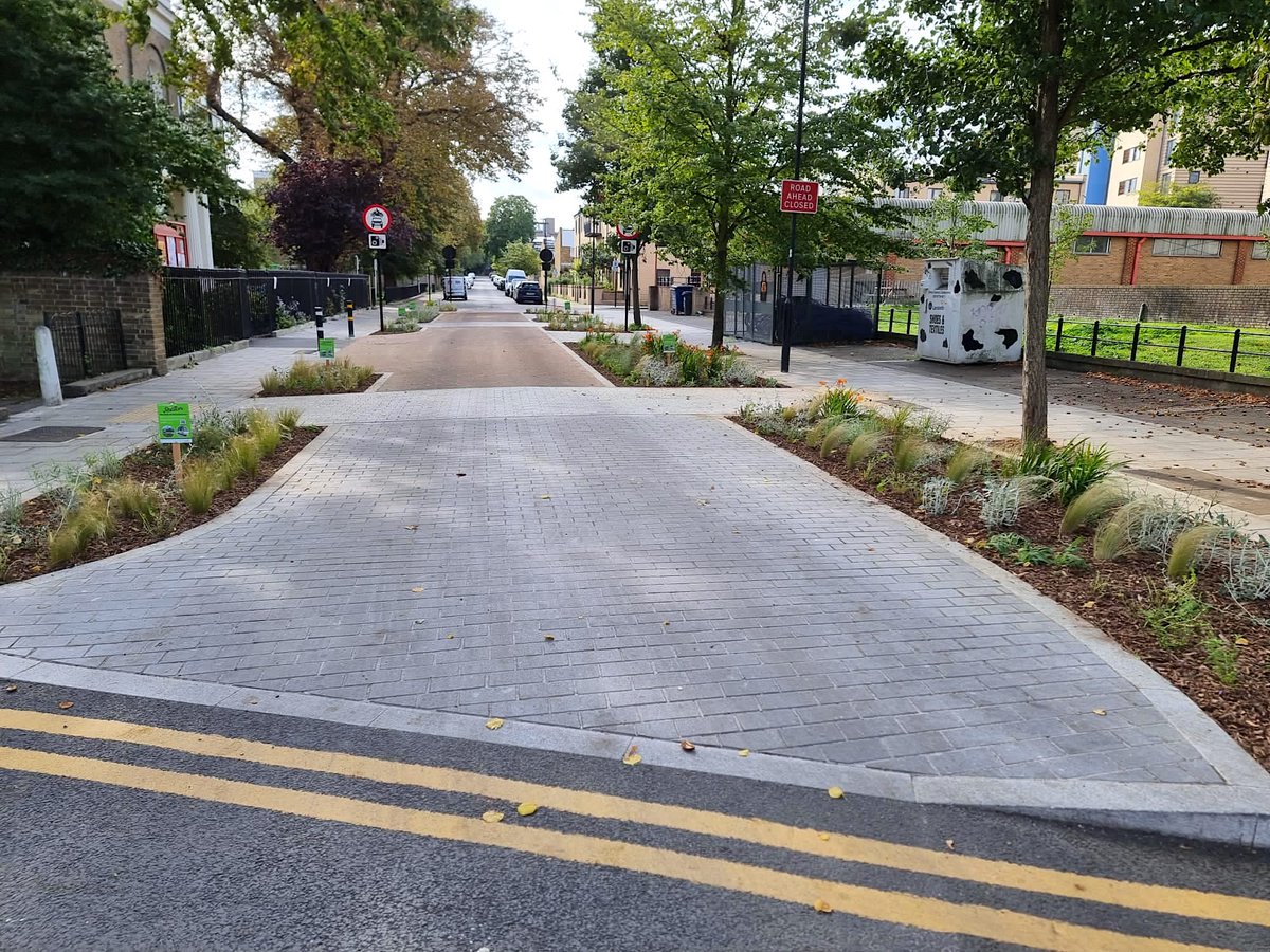 Meristem Design tweet media