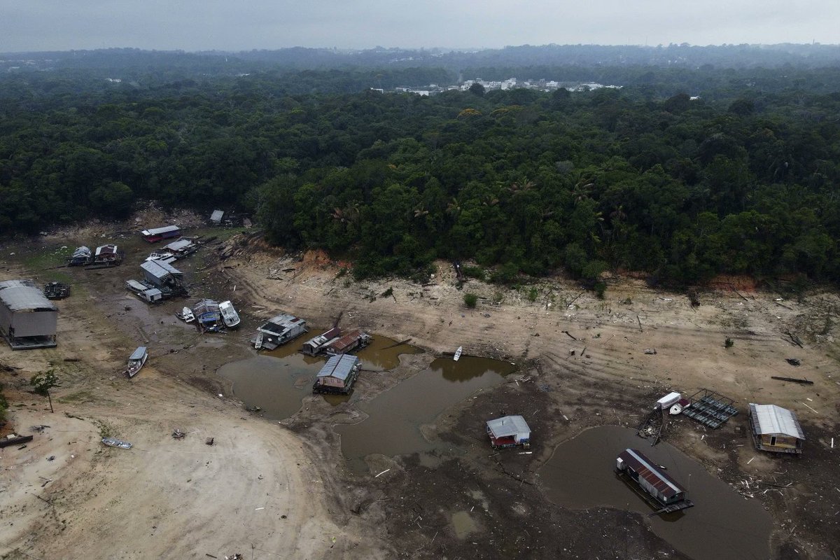 ctwnetwork's tweet photo. The Negro River, the Amazon’s second largest tributary, on Monday reached its lowest level since official measurements began near Manaus 121 years ago. The record confirms that this part of the world´s largest rainforest is suffering its worst drought. https://t.co/VLhOertT3e