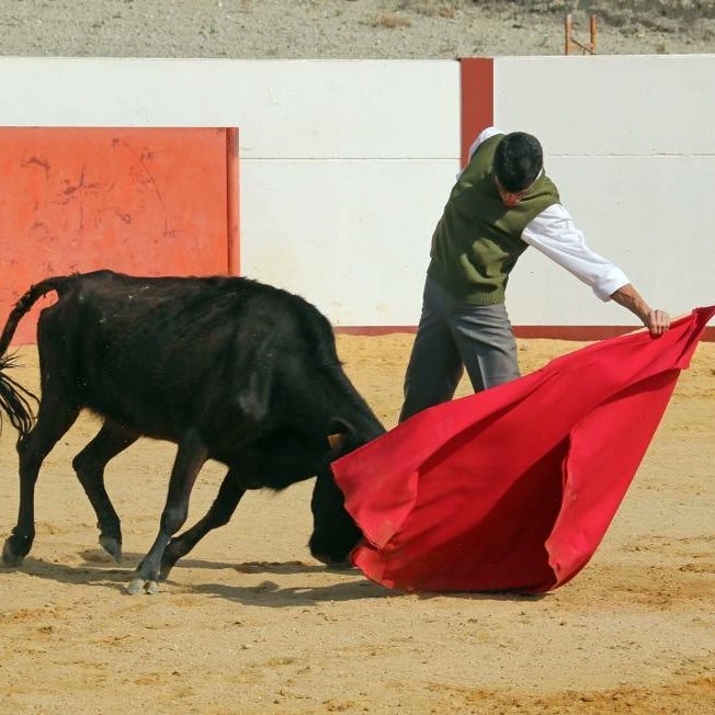 juliocampano's tweet photo. @rafaeldejulia pedazo de torero. https://t.co/iE42R9rI1r