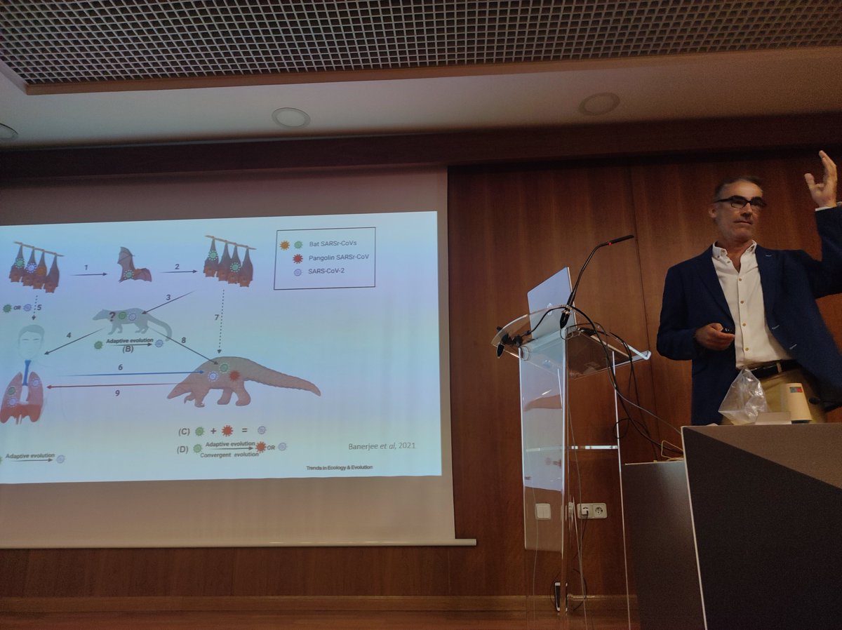 icoes's tweet photo. Y la charla final a cargo de @_bgzorn_ - de dónde venimos, dónde estamos, a dónde vamos en la resistencia a antibióticos -One Health al poder #NeoHealth https://t.co/vuIovuaAx2
