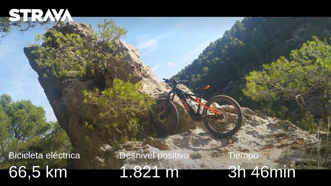 Dani EA5M tweet media