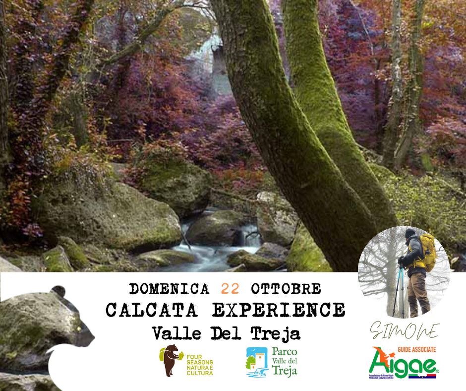 Visita guidata in natura: 22 ottobre Calcata Experience
shorturl.at/avzRT <a href="/ParcoTreja/">ParcoValledelTreja</a>