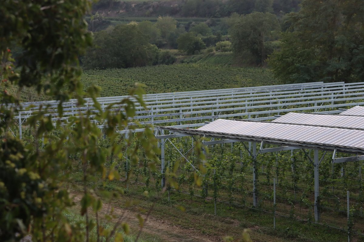 balkonsolar's tweet photo. Schon bizarr: Teile des Ortschaftsrats von #Munzingen bei Freiburg haben eine “#VinoPV” Anlage übel bekämpft: https://t.co/55jqBdarhR obwohl Weinanbau darunter weiter möglichst ist und man es kaum sieht.
Eine Riesen Freiflächen Anlage an der Autobahn (7 Fußballfelder) /… #Solar https://t.co/9FfdNpEJ62