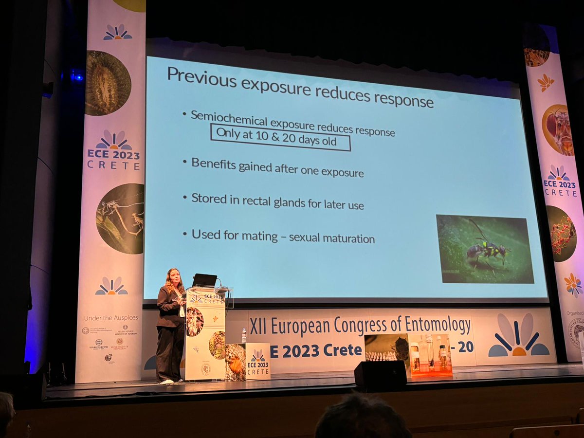fliesandthings's tweet image. Semiochemical pre-treatment reduces the response of B. dorsalis to methyl eugenol baited traps🍊🥭

Sharing my research at #ECE2023 was an amazing experience!

A big thank you to @entsocsa for helping me get here!